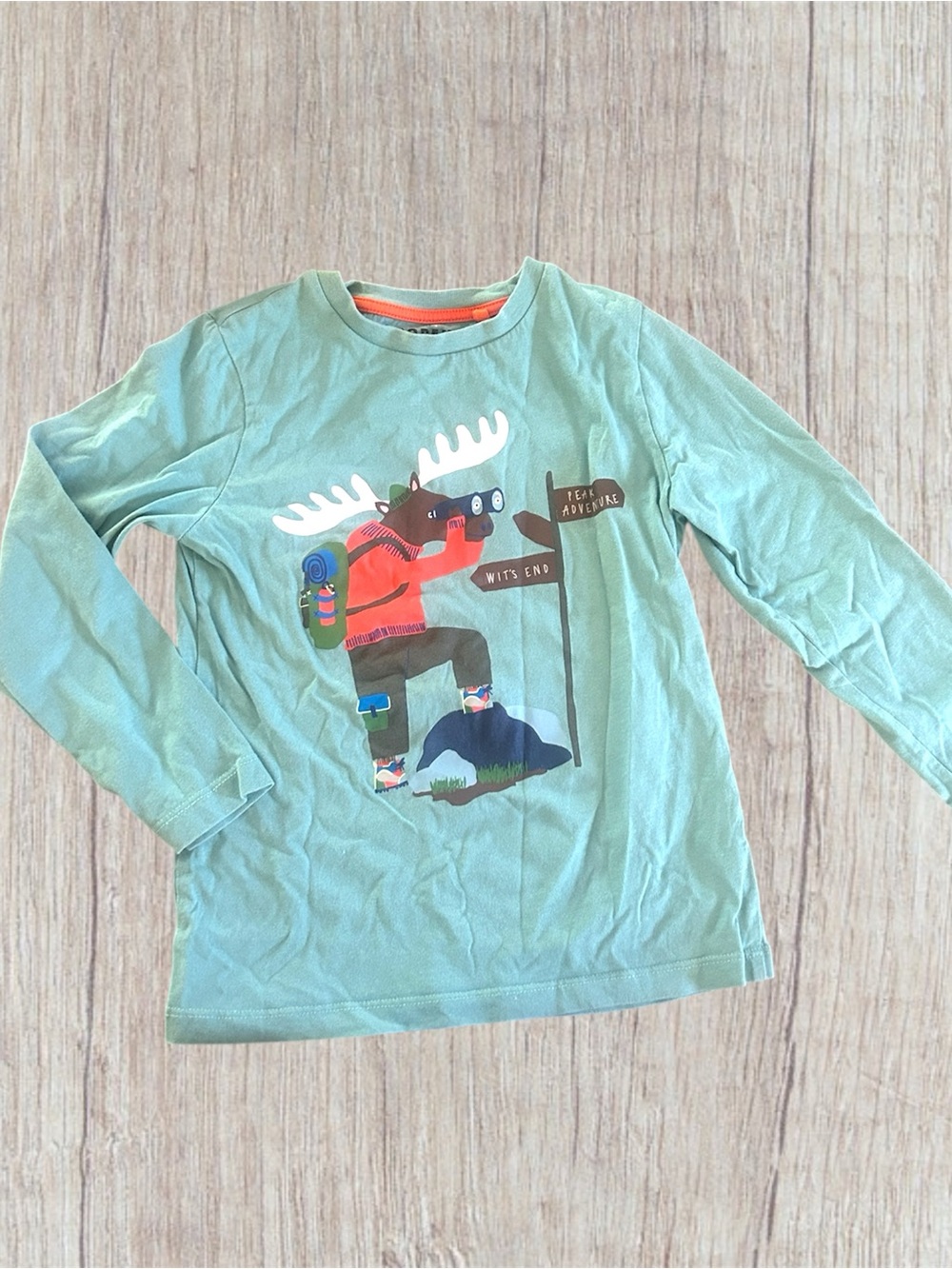 Mini Boden Moose long sleeved tee